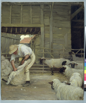 Sheep Shearing (oil on canvas)