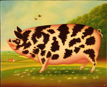 Old Spot Pig, 1998 (oil & tempera on panel)