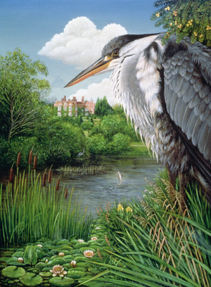 Herons at Chilham, 1986 (oil & tempera on panel)