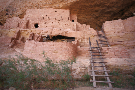 Long House a Mesa Verde - Anasazi ancient American civilization troglodyte dwellings or Pueblo ancestral people, 12th - 14th century - Cliff Dwelling, Mesa Verde National Park, Colorado, USA (USA), UNESCO Site