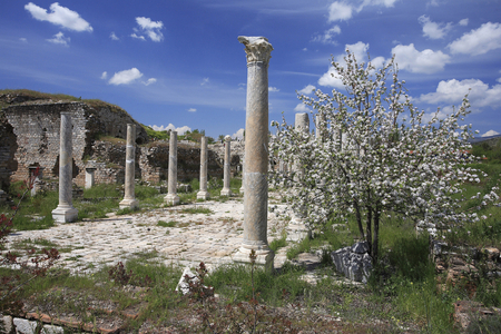 Conrinthian Style Column of the Imperiale Hall of Theatre Terms/Aphrodisias/Turkey
