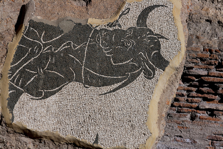 Remnants of mosaic presented in the eastern palestra/Baths of Caracalla/Rome/UNESCO Site