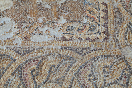 Detail of a geometric pattern filled with a Guilloche around a central panel - Paphos mosaics, House of Aion, 3rd Century AD - Cyprus - Detail of a geometric pattern in guilloche around an emblema - Mosaic of Paphos, Aion House - UNESCO Site, Cyprus
