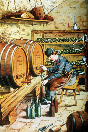 Wine cellar. Photolithographic engraving. Italy, circa 1910.