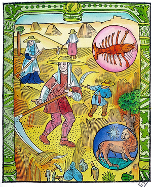 July Calendar, 1488 (engraving)