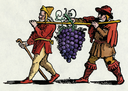 The return of Joshua and Caleb with a huge bunch of grapes from the land of Canaan (Promised Land).