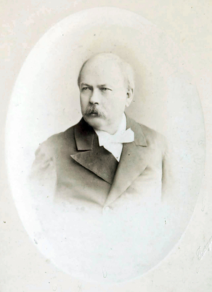 Portrait Of The Actor Feodor Burdin (1827-1887), 19th century (albumin photo)