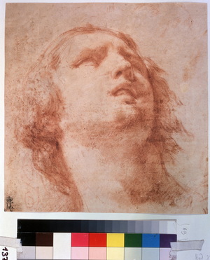 "Woman's head looking up", 17th century (drawing)