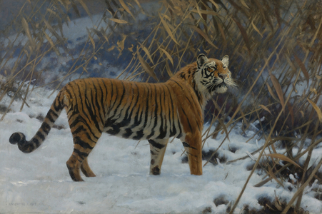 A Tiger in the Snow , 1912 (painting)