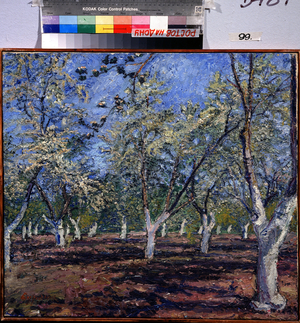 Pommers In Flowers, 1900 (paint)