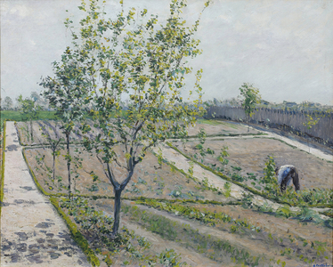 Kitchen Garden, Petit Gennevilliers, 1881-82 (oil on canvas)