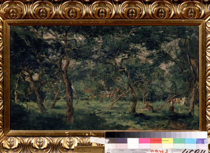 Olive Orchard, 1870-73 (paint)