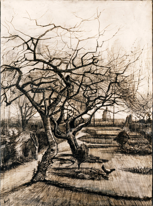The Parsonage Garden at Nuenen in Winter, 1884 (ink on paper)