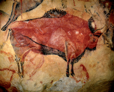 Prehistory, art of the superior paleolithic: a bison or auroch, (painting)