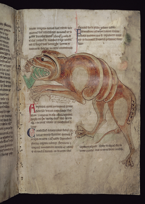 Ms.254 f.24 r  Cocodrillus Swallowing a Man (vellum)