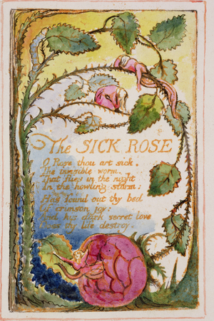 P.125-19503.pt39 The Sick Rose: plate 39 from Songs of Innocence and of Experience (copy AA) c.1815-26 (etching, ink and w/c)