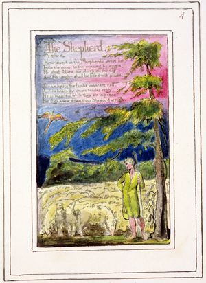 P.124-1950.pt4 The Shepherd: plate 4 from Songs of Innocence and of Experience (copy R) c.1802-08 (etching, ink and w/c)