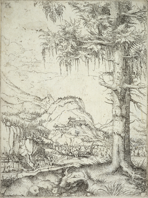 The Large Spruce, c.1520 (etching)