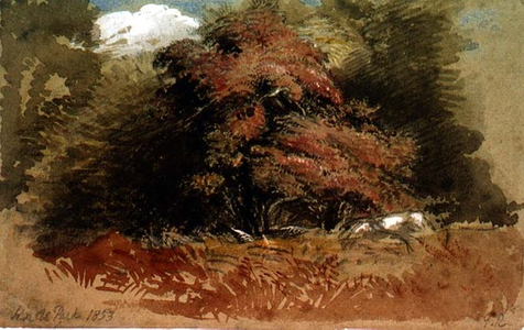Knole Park, 1853 (w/c, gouache & black chalk)