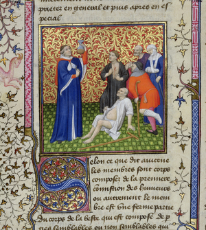Ms.251 f.54v A doctor with his patients, from 'Des Proprietez des Choses', c.1415 (vellum)