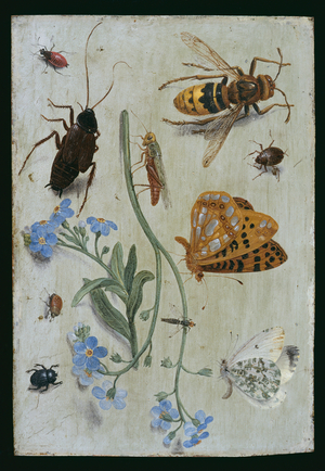 Insects (oil on copper)