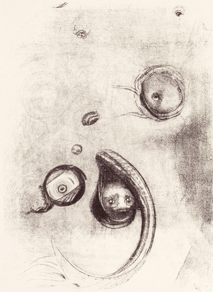 "And some eyes without heads floating like mollusks" from 'La Tentation de Saint-Antoine' (Plate XIII) 1896 (litho)