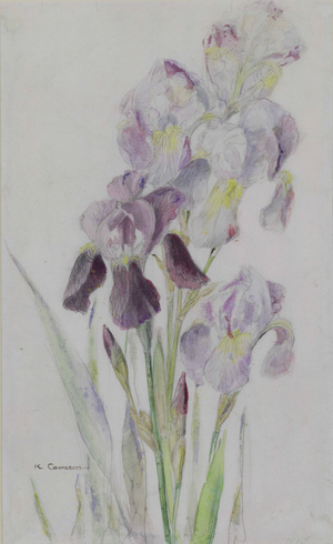 Irises (wash & pencil on paper)