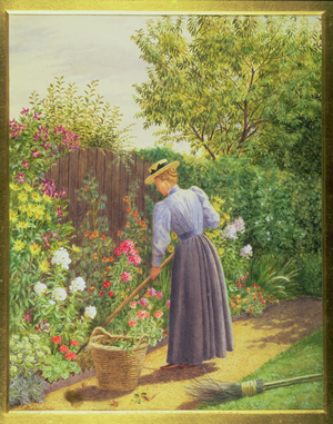 Lady gardening in a herbaceous border (w/c)