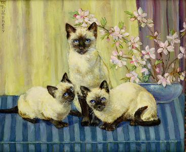 Three Siamese Cats, c.1921-30 (oil on board)