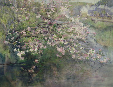 May Blossom by the River