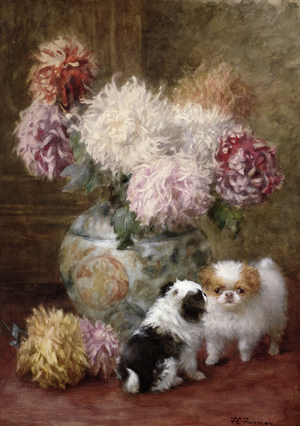 From the land of the Chrysanthemum