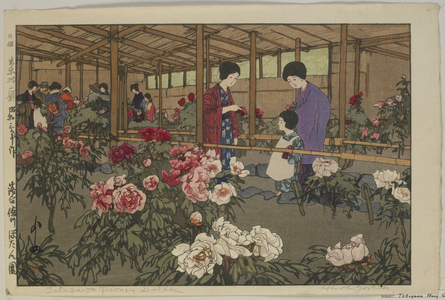 Tokugawa Peony Garden, from the series, Twelve Scenes of Tokyo, Showa era, 1928 (colour woodblock print)