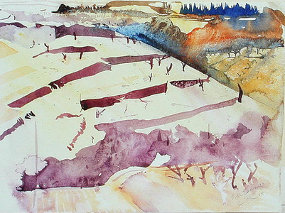 Vine Terraces, 2004 (w/c on paper)