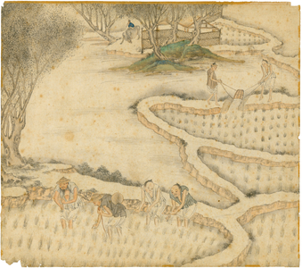Transplanting the Rice, from 'Gengzhi tu' (Pictures of Tilling and Weaving) (w/c on paper)