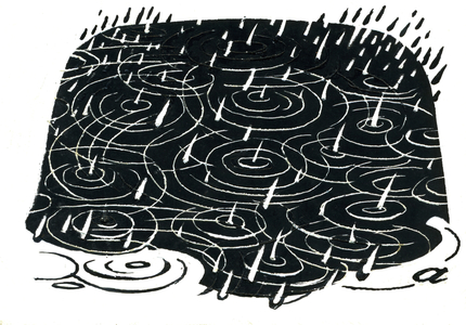 Rain puddle design (scraperboard)