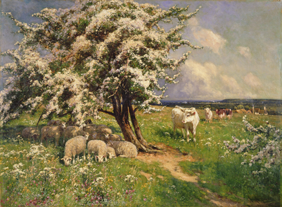 Sheep and cattle in a landscape (oil on canvas)