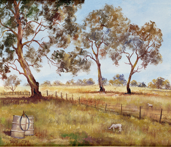 Australian Bush Scene (oil on canvas)