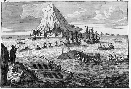 Whaling off the island of Jan Mayen. engraving early 18th century