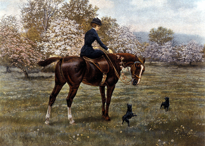 A young woman riding an Amazon in a spring landscape.