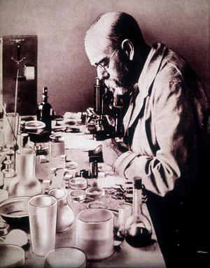 Portrait of the German doctor Robert Koch (1843 - 1910). He discovered the bacillus of tuberculosis and studied cholera, malaria and sleep sickness. Nobel Prize in 1905.