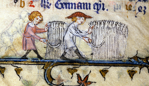 August: work in the fields. Illumination from a guest book of the 13th century.