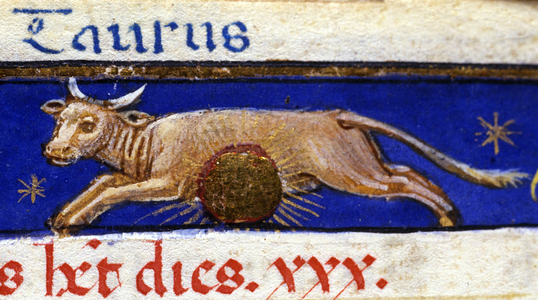 Sign of the zodiac: the bull. 15th century manuscript.