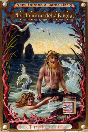 Representation of newts, legendary creatures mi man mi fish. chromolithographof the 19th century