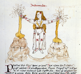 Miniature Andromeda Constellation from “Astronomica”” by Biasino da Parma (Blaise of Parma) (1425-1457), 15th century