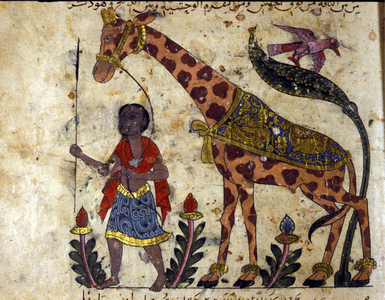 A giraffe held by her guardian. Arabic manuscript from Syria Kitab al-Hayawan (Zoology) “The Book of Animals”, by Al-Jahiz (Al Gahiz). Half of the 14th century, 15th century.