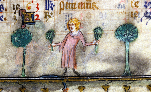 April: a woman picking herbs. Illumination from a 13th century guest book.