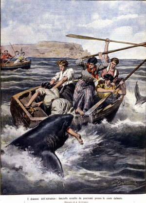 The tragedy of the Adriatic: a woman attacked by a shark near the coast of Dalmatia, 1908.