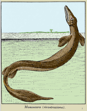 Prehistory: reconstitution of a mosasaur, marine reptile.