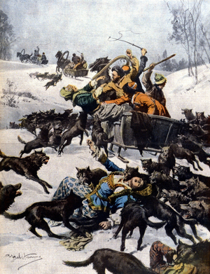 A bridal cortege is attacked by wolves in Asian Russia: the women are devoured by wolves. Ill. de Beltrame. "La Domenica del corriere". 1910.