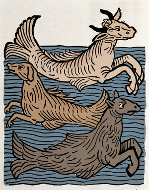 Fantastic creatures: representation of a cow, dog and sea horse. Engraving from “Hortus sanitatis””, 1491.